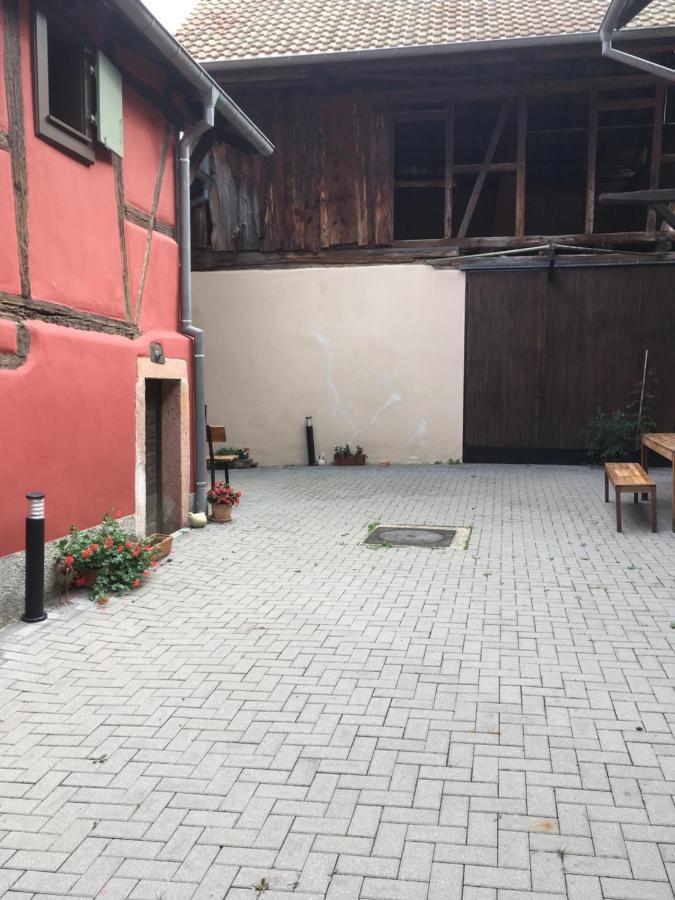 Gite De L'Ours Grognon Dambach Esterno foto